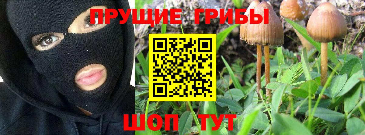 магазин    Вход с VPN  Ачинск  Псилоцибиновые грибы мухоморы 